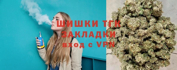 дживик Оленегорск
