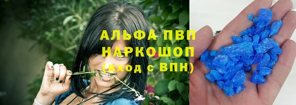 сатива Олёкминск