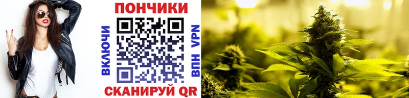 Каннабис конопля  что такое наркотик  ОМГ ОМГ tor  Семикаракорск 